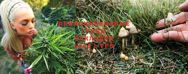 каннабис Алексеевка
